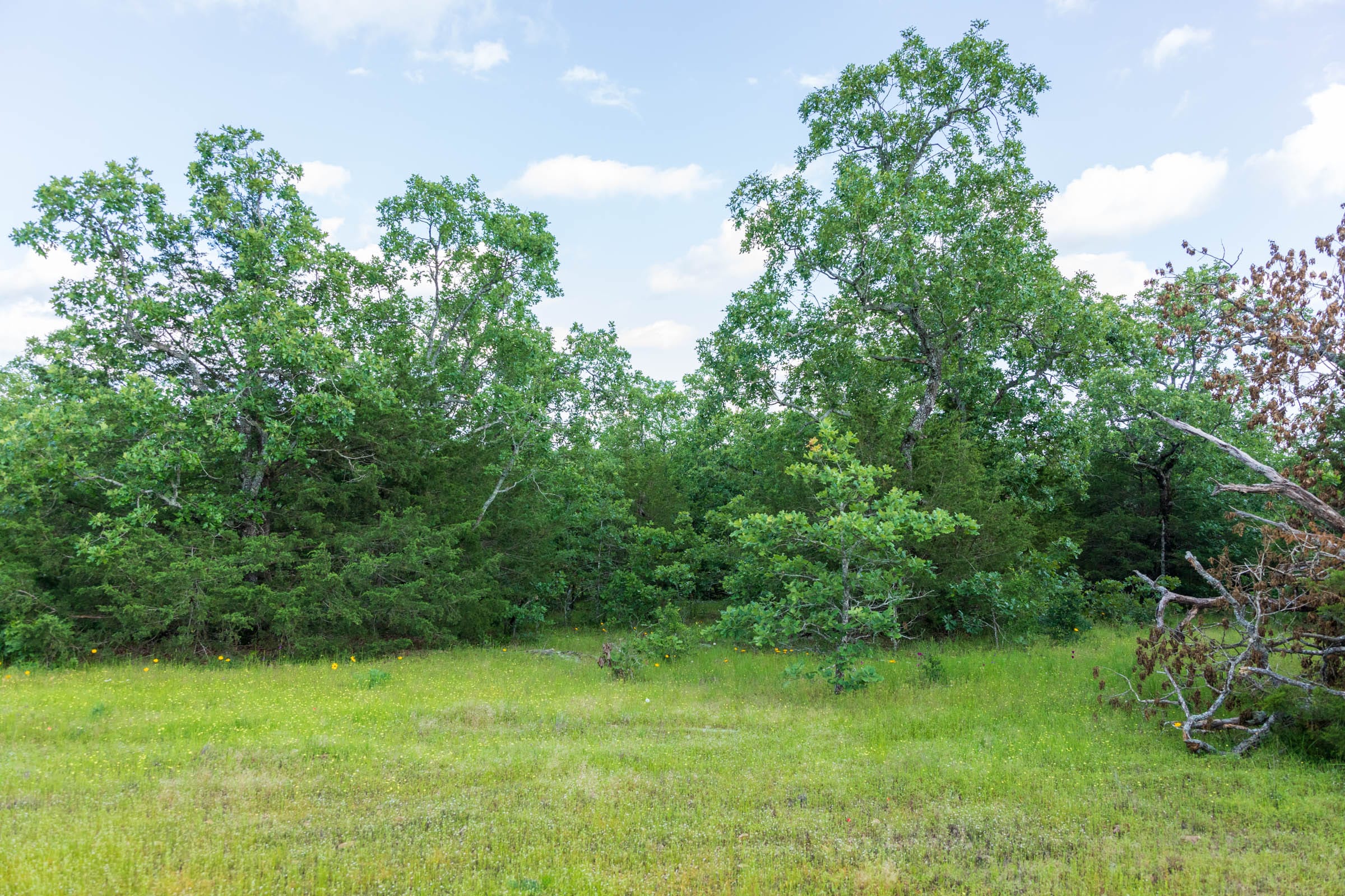 Falcon Crest Tract 22 photo 4
