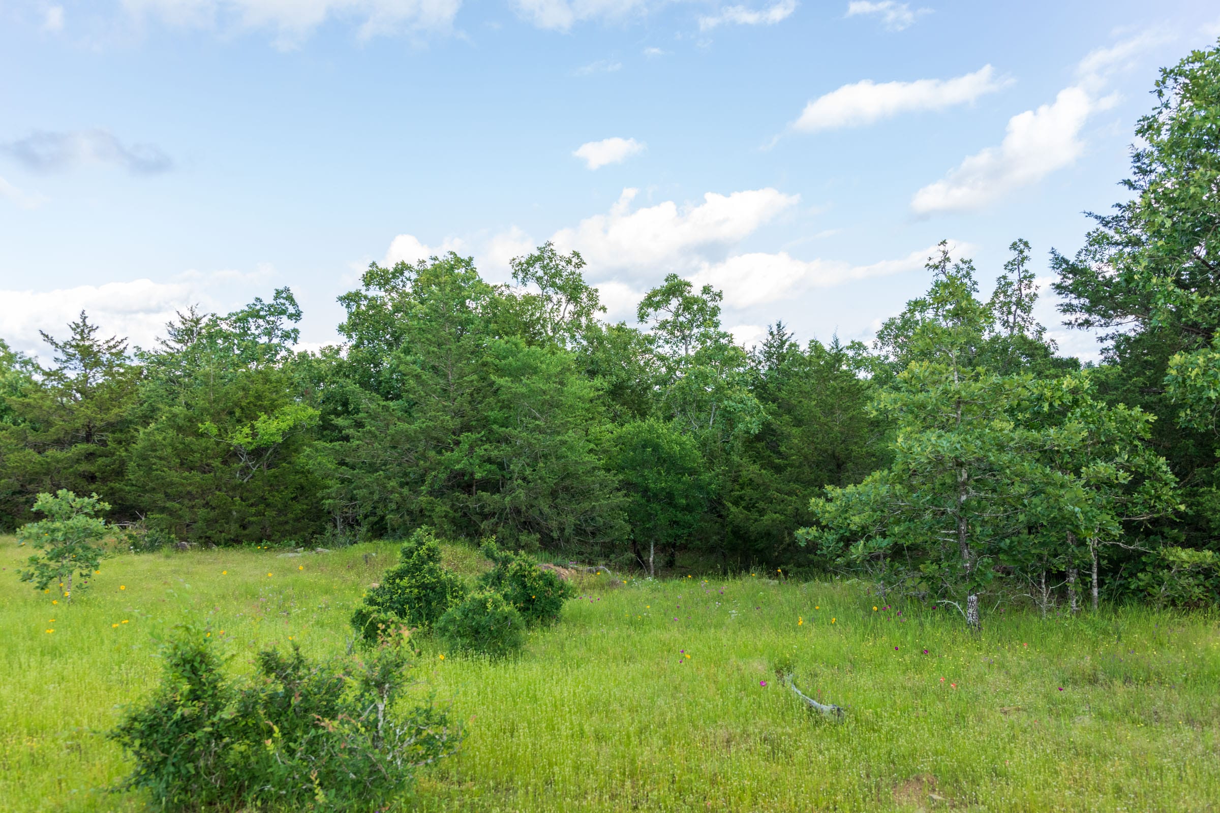 Falcon Crest Tract 22 photo 5