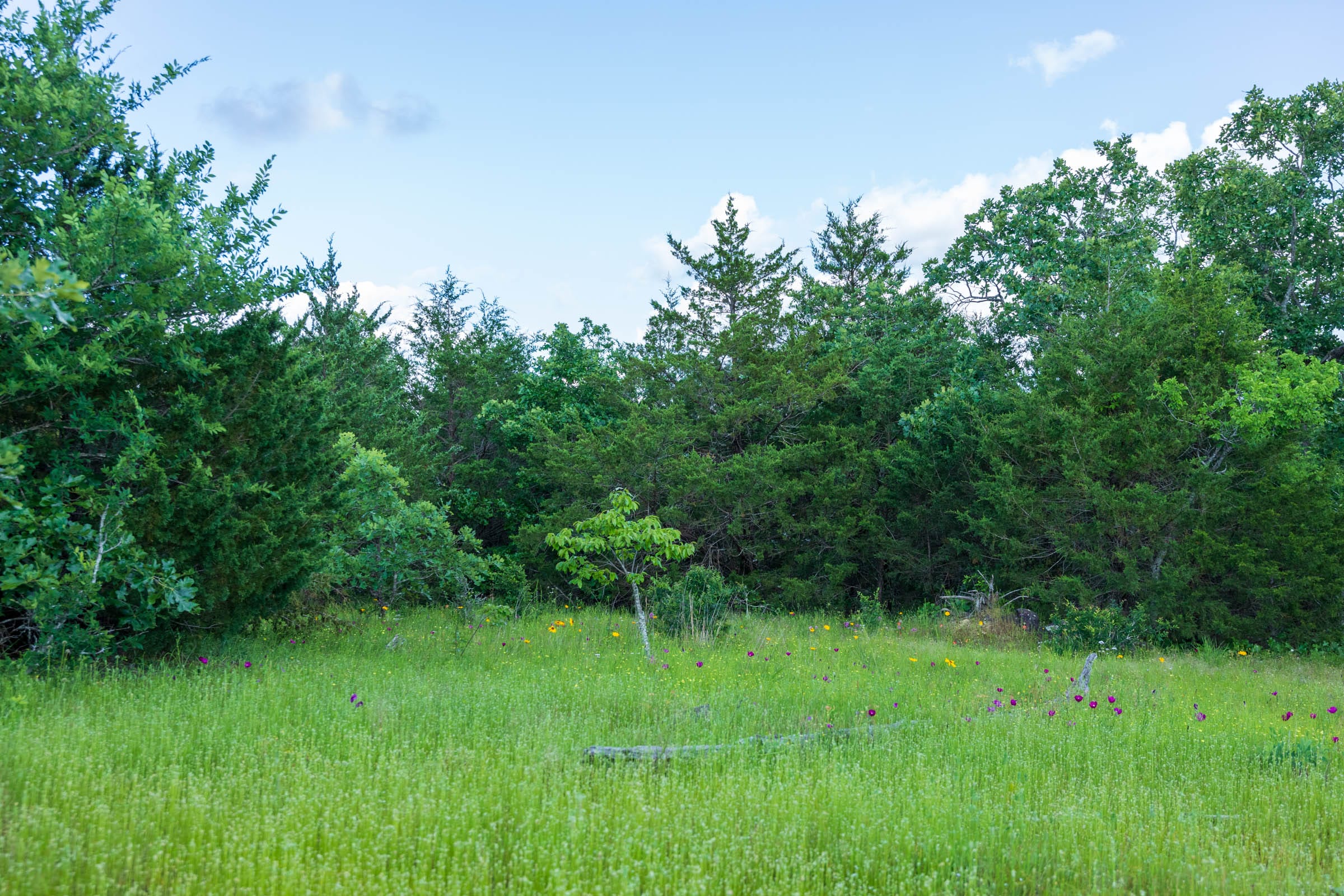 Falcon Crest Tract 22 photo 6