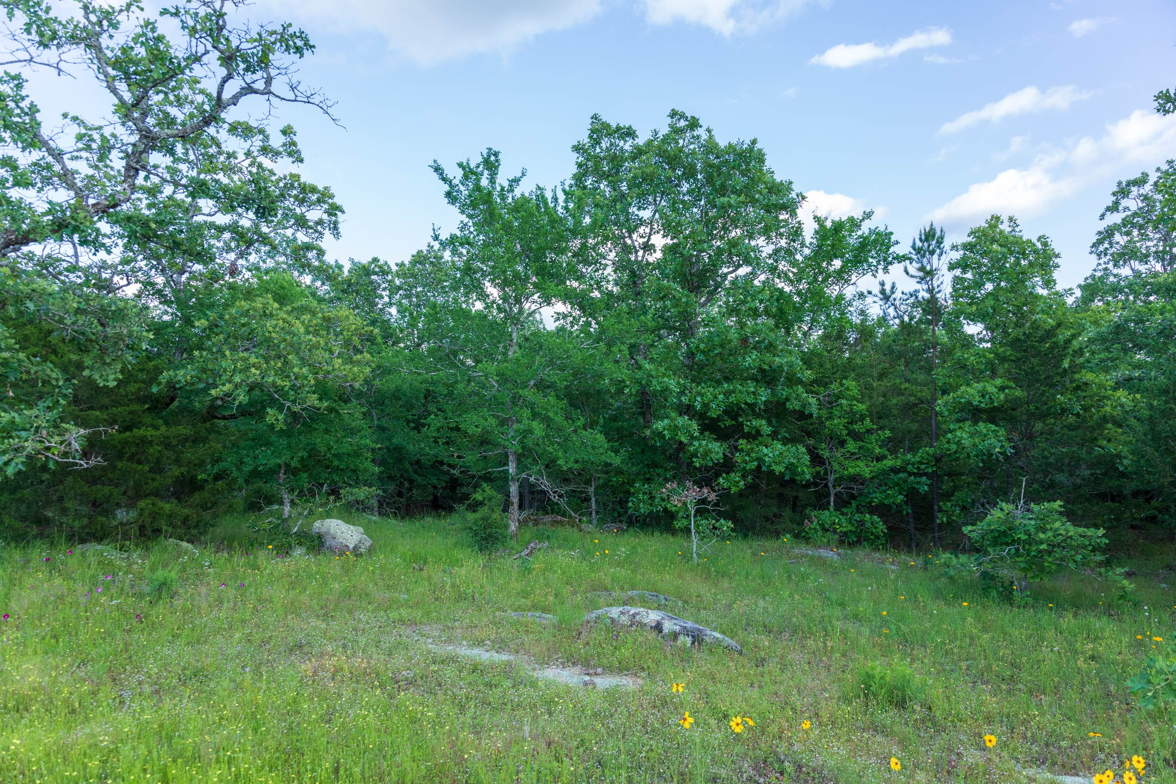 Falcon Crest Tract 22 photo 7