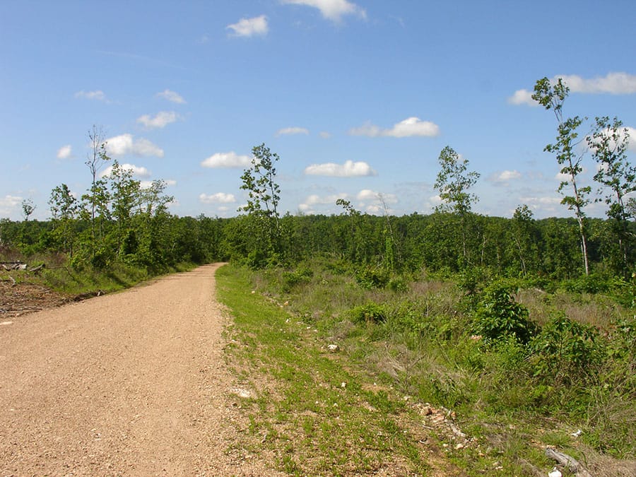 Antler Ridge Tract 34 photo 1