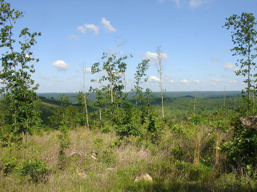 Antler Ridge Tract 34 photo 2