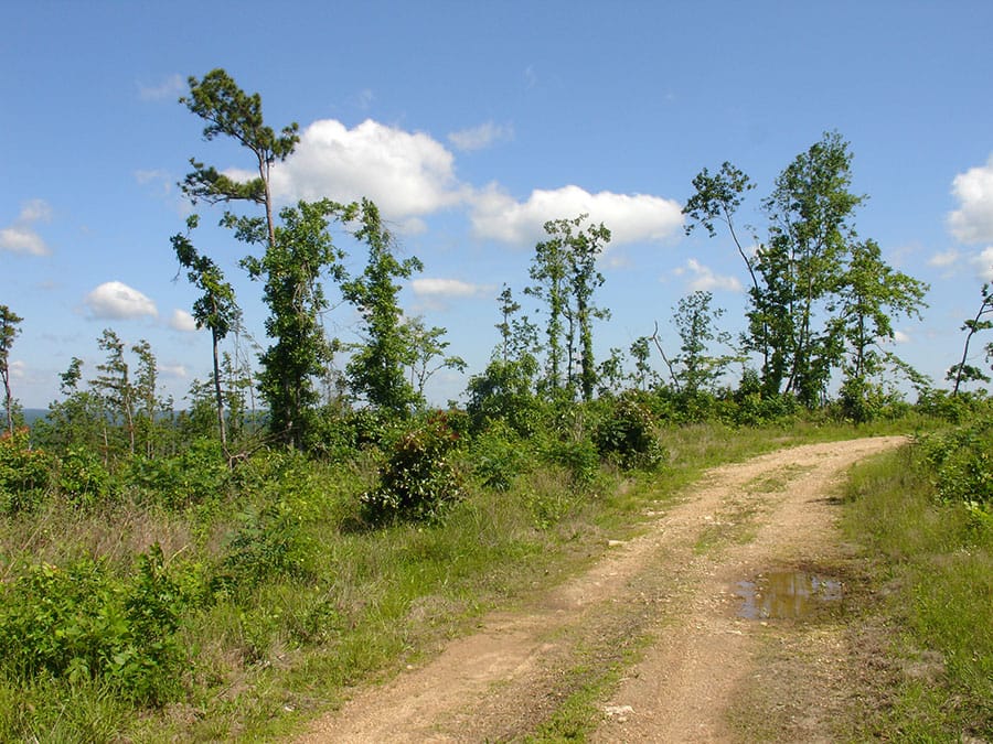 Antler Ridge Tract 34 photo 5