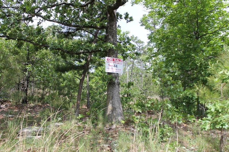Indian Ridge – Phase II Tract 44 photo 1