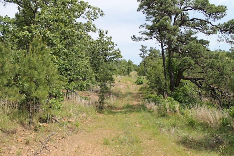 Indian Ridge – Phase II Tract 44 photo 2