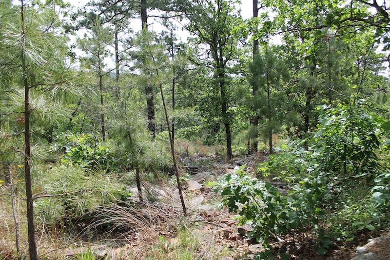 Indian Ridge – Phase II Tract 44 photo 8