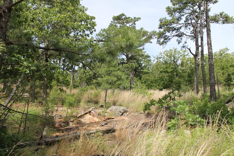 Indian Ridge – Phase II Tract 44 photo 10