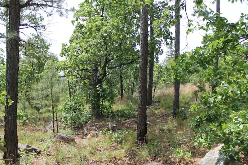 Indian Ridge – Phase II Tract 44 photo 11