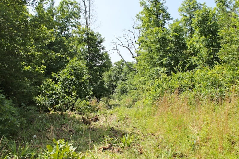 Green Mountain Ranch Tract 25 photo 2