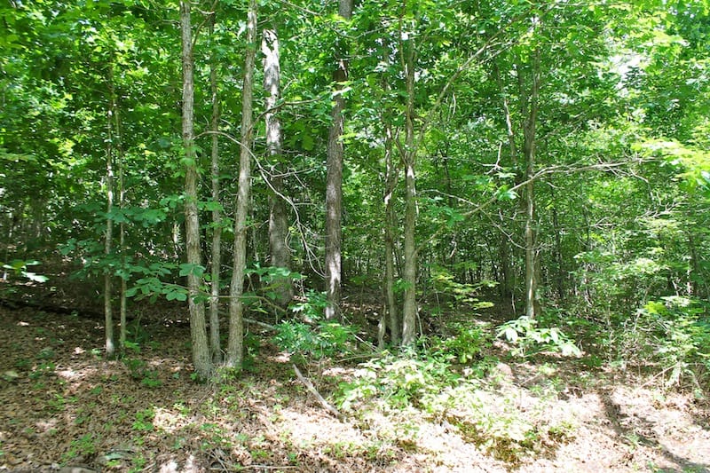 Green Mountain Ranch Tract 25 photo 8