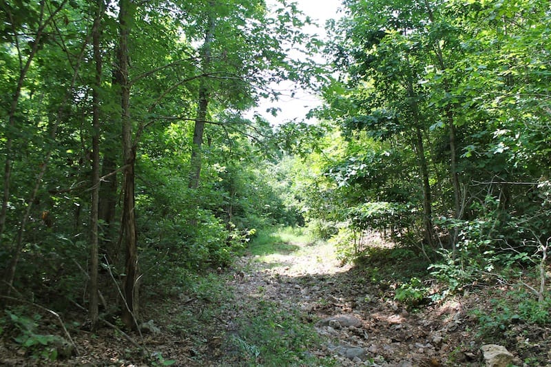 Green Mountain Ranch Tract 25 photo 9