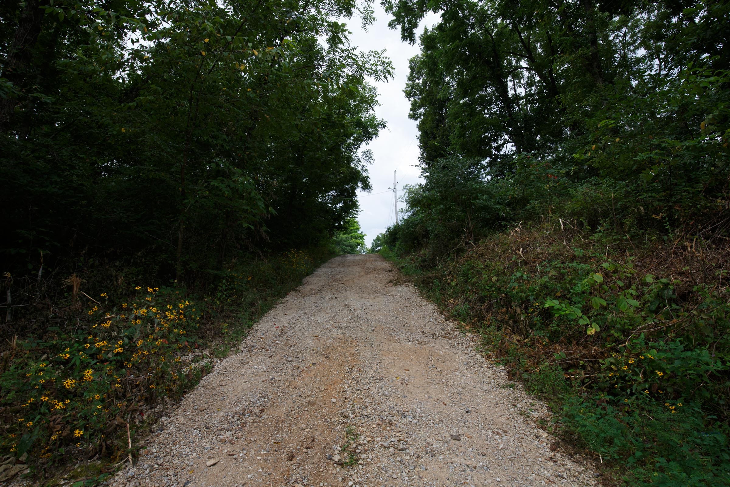 Spring Lake Plat 4 Tract 111 photo 4