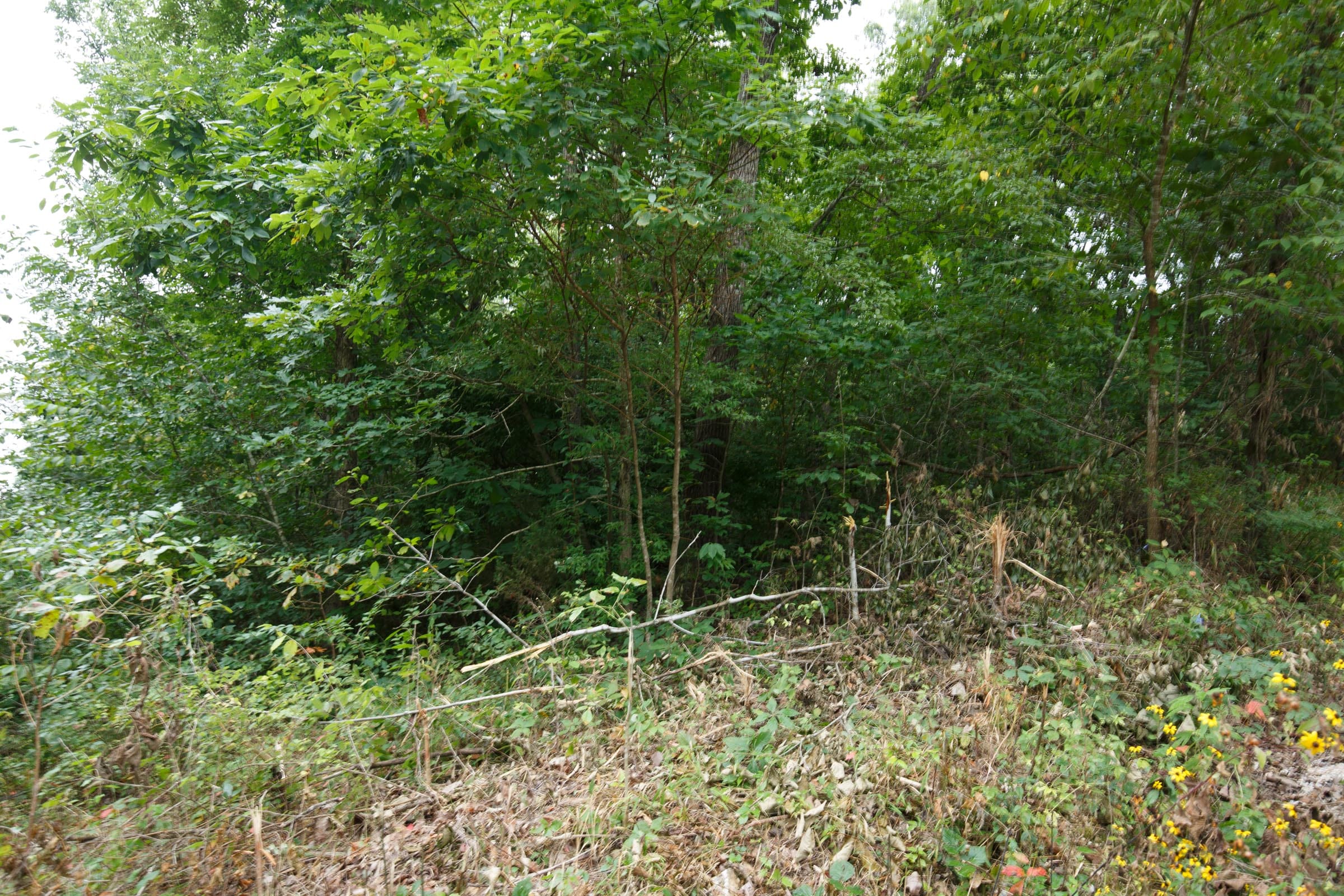 Spring Lake Plat 4 Tract 111 photo 2