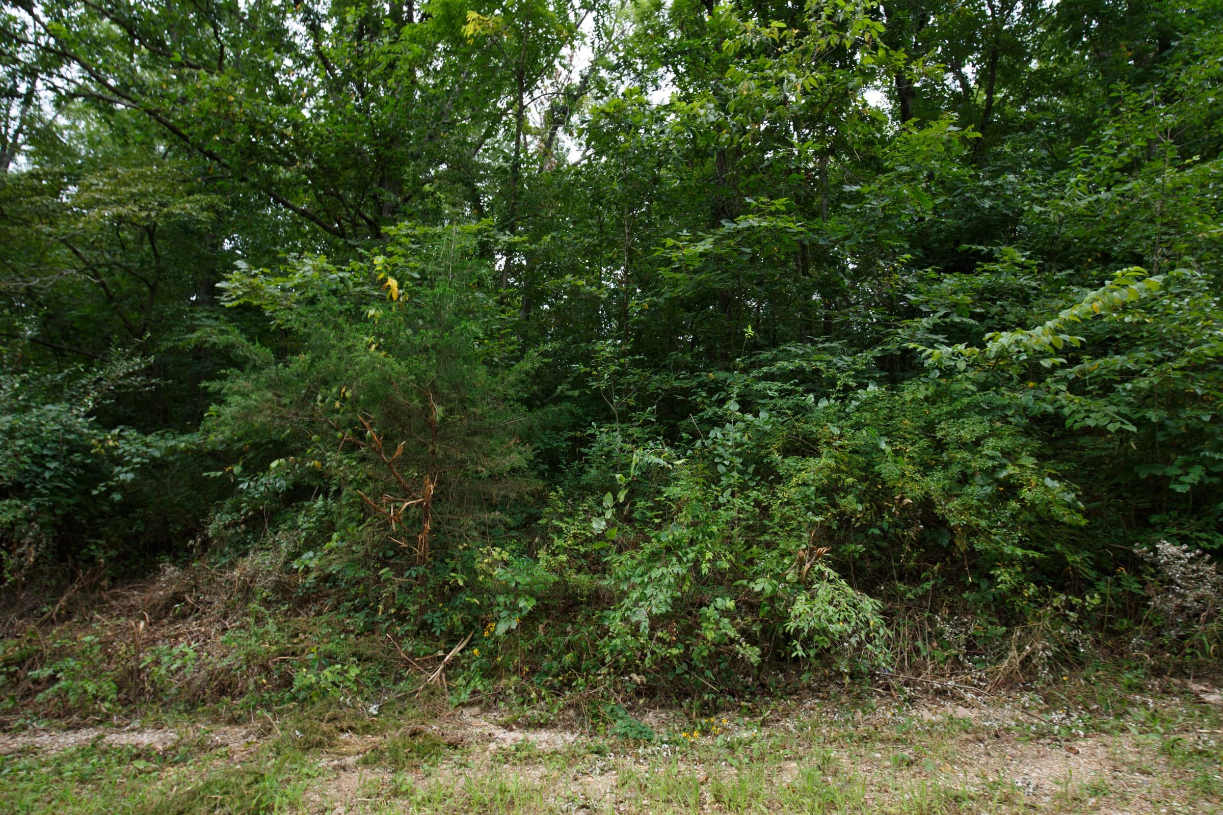 Spring Lake Plat 4 Tract 111 photo 3