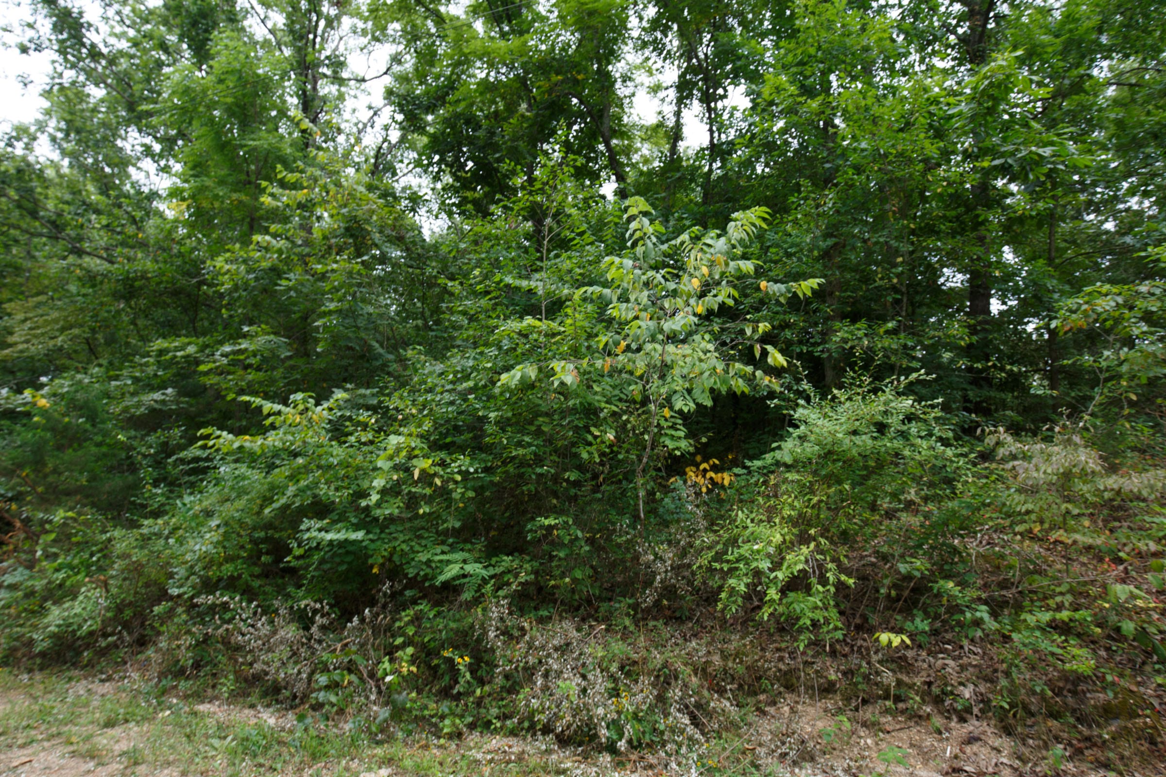Spring Lake Plat 4 Tract 111 photo 5