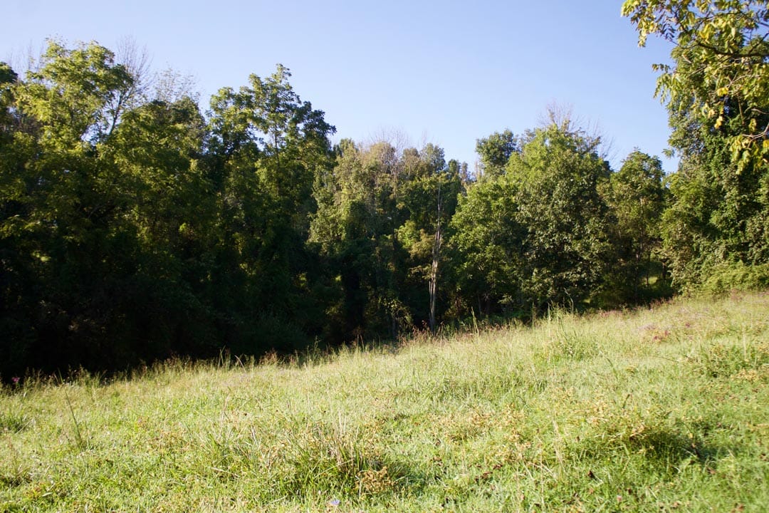 Heritage Hollow Tract 5 photo 3