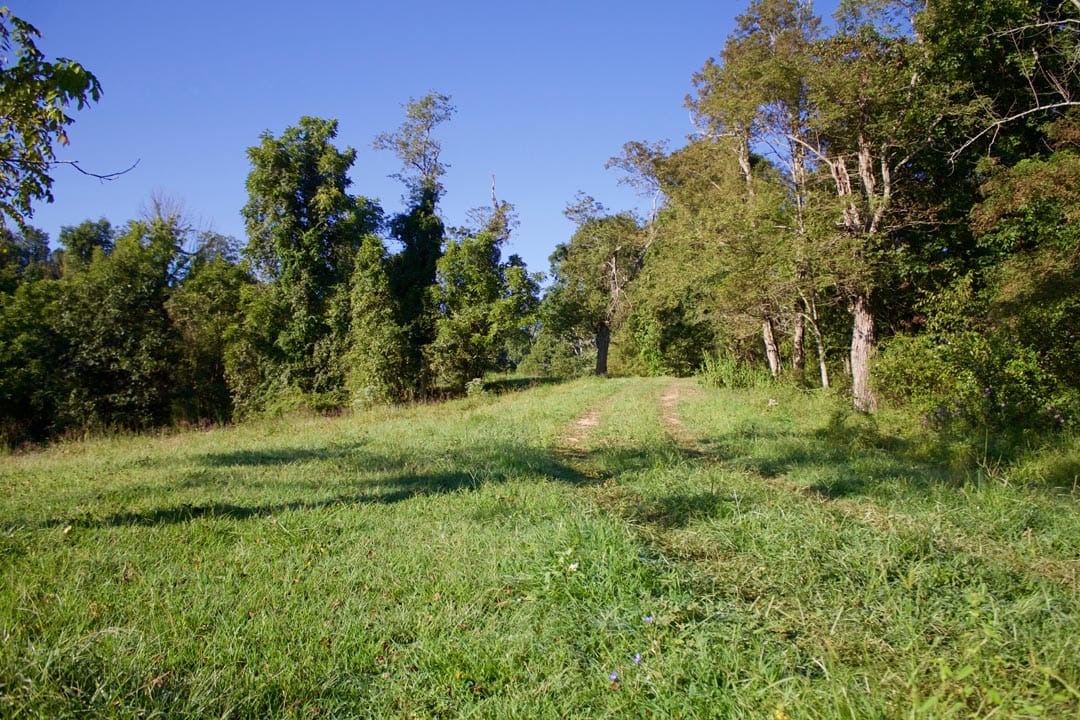 Heritage Hollow Tract 5 photo 4