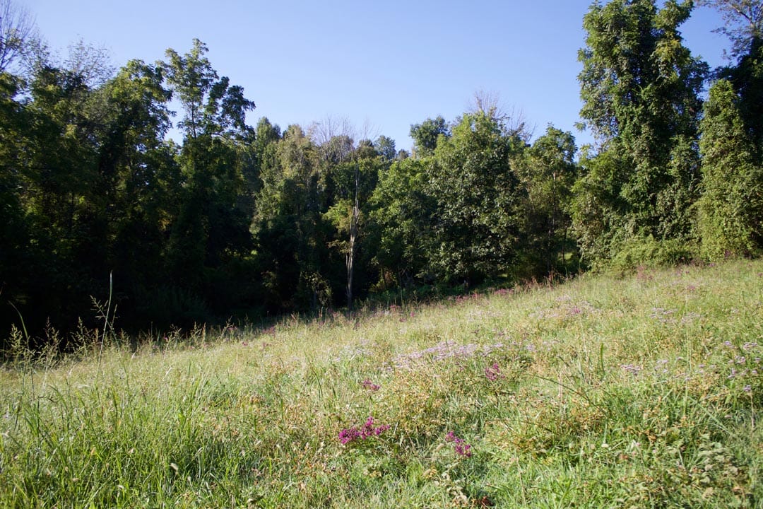 Heritage Hollow Tract 5 photo 5