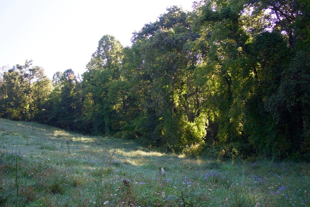Heritage Hollow Tract 5 photo 6