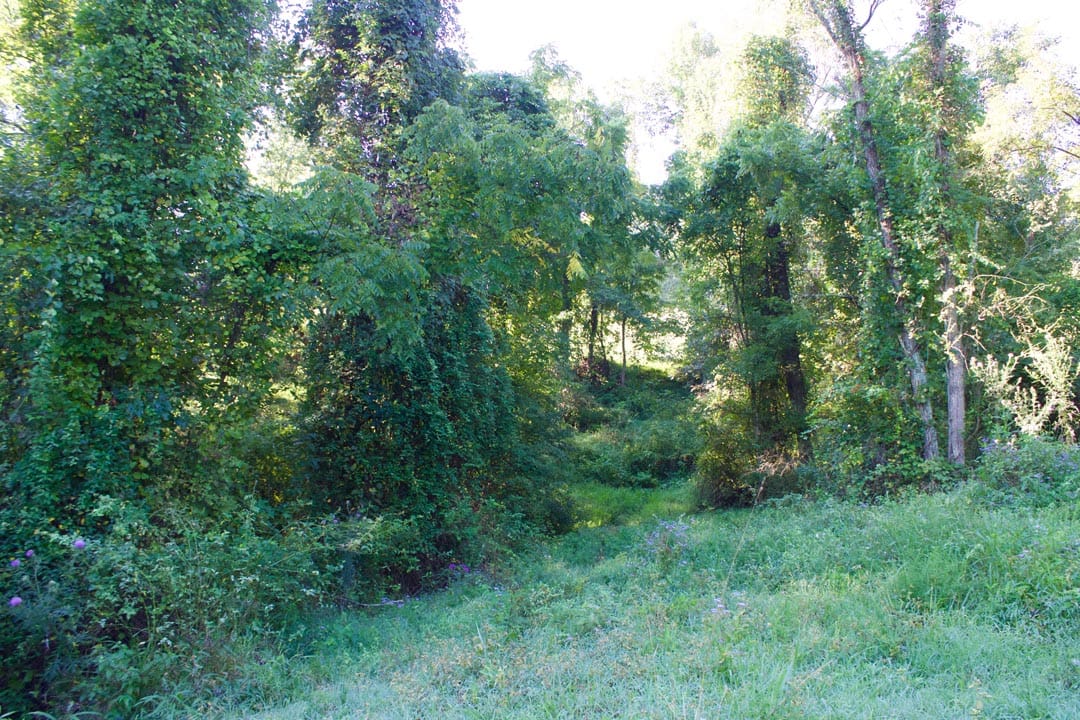 Heritage Hollow Tract 5 photo 7