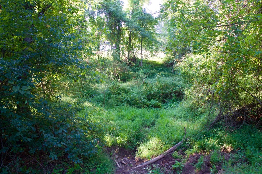 Heritage Hollow Tract 5 photo 11