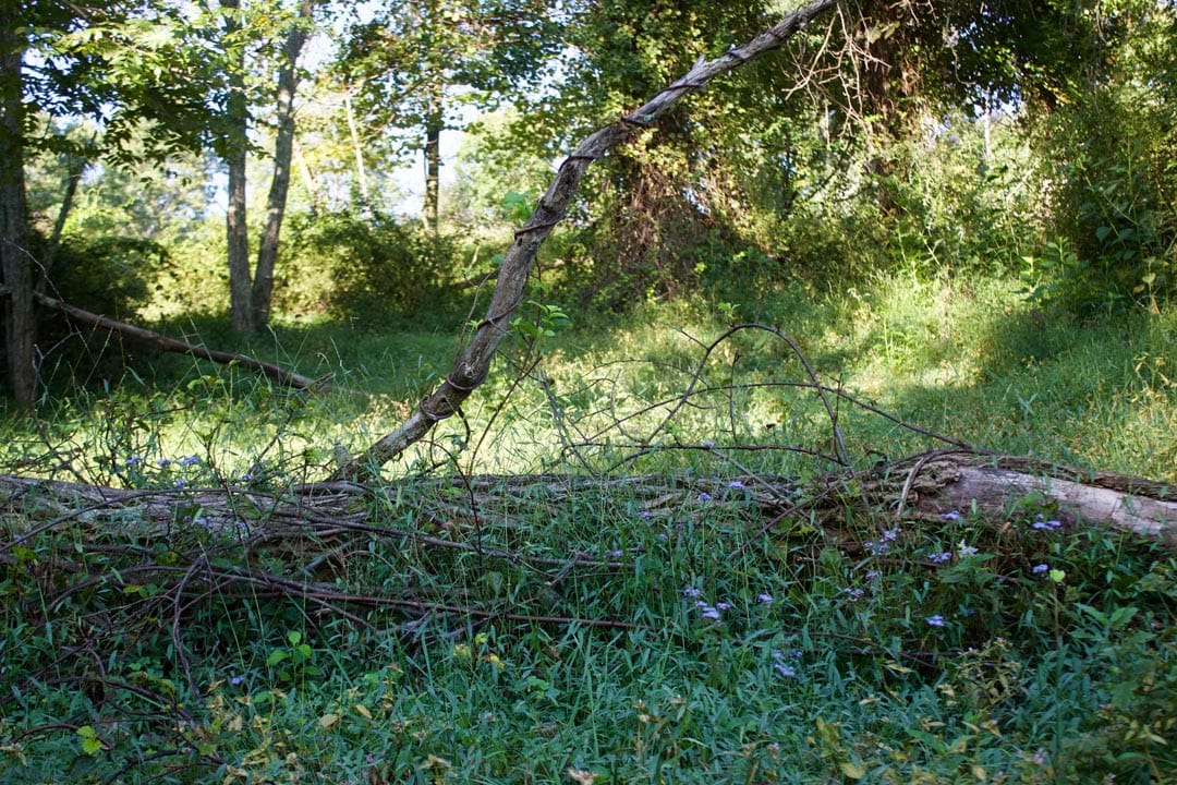 Heritage Hollow Tract 5 photo 12