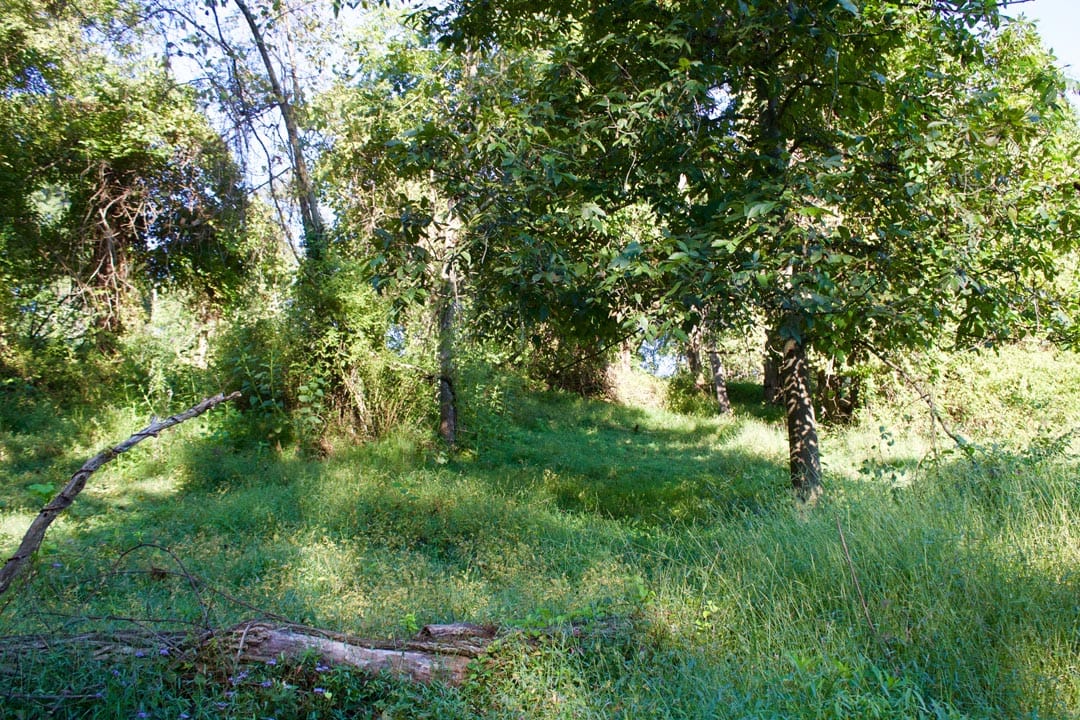 Heritage Hollow Tract 5 photo 14