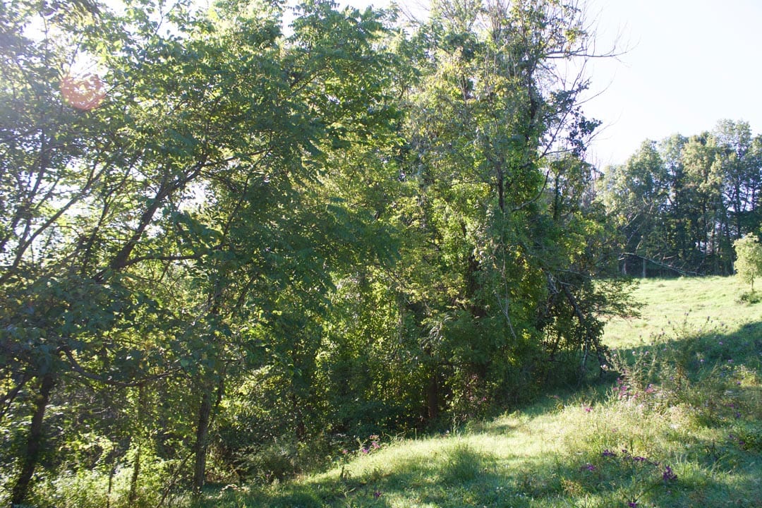 Heritage Hollow Tract 5 photo 16