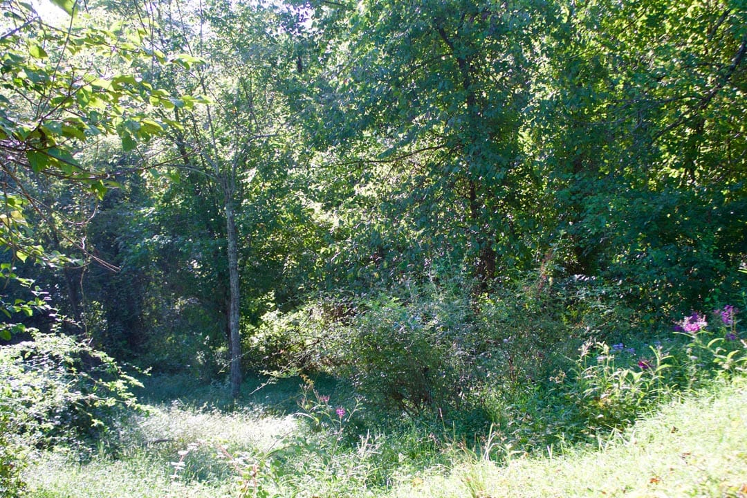 Heritage Hollow Tract 5 photo 19