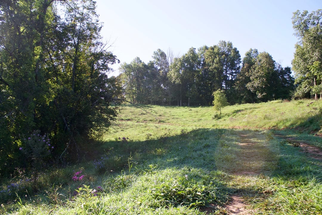 Heritage Hollow Tract 5 photo 20