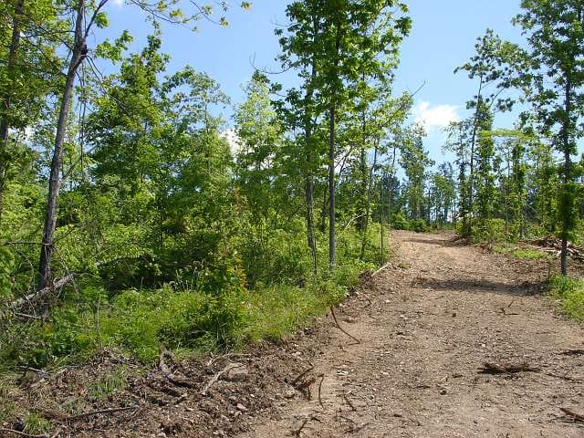 Antler Ridge Tract 25 photo 5