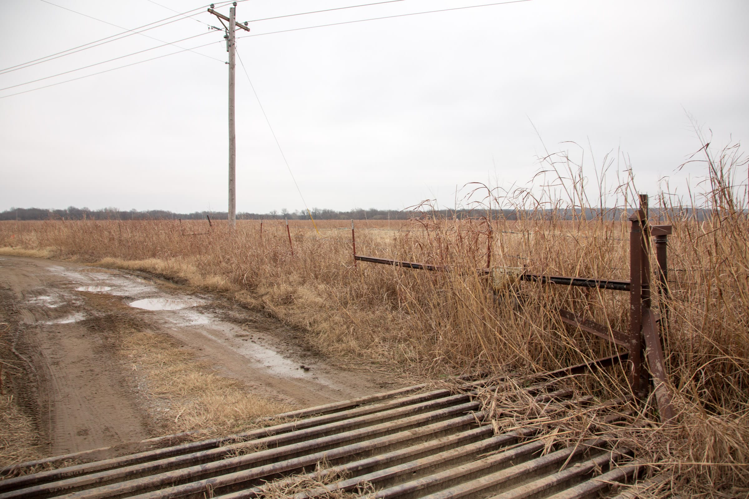 Canadian Plains Tract 35 photo 12