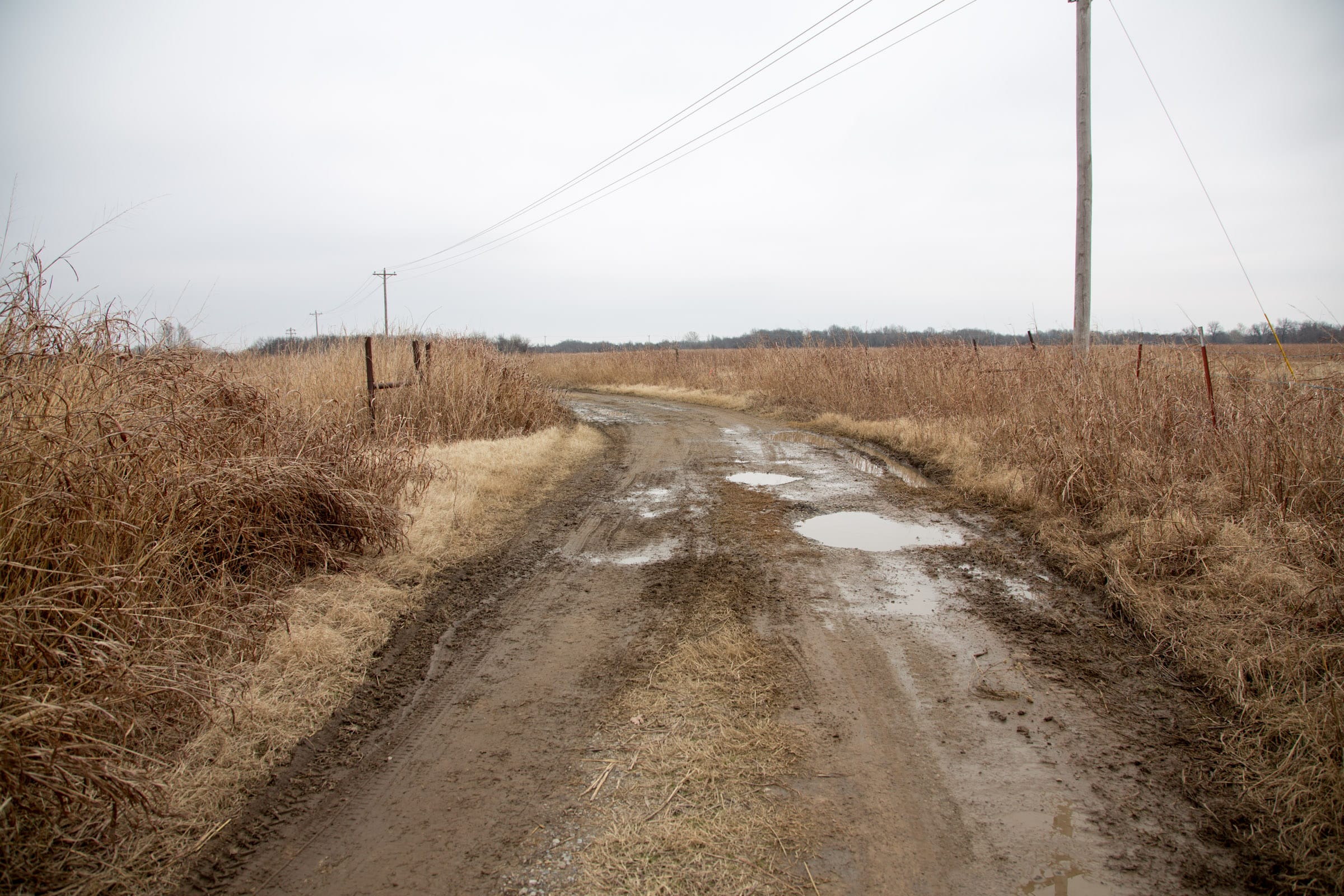 Canadian Plains Tract 35 photo 5