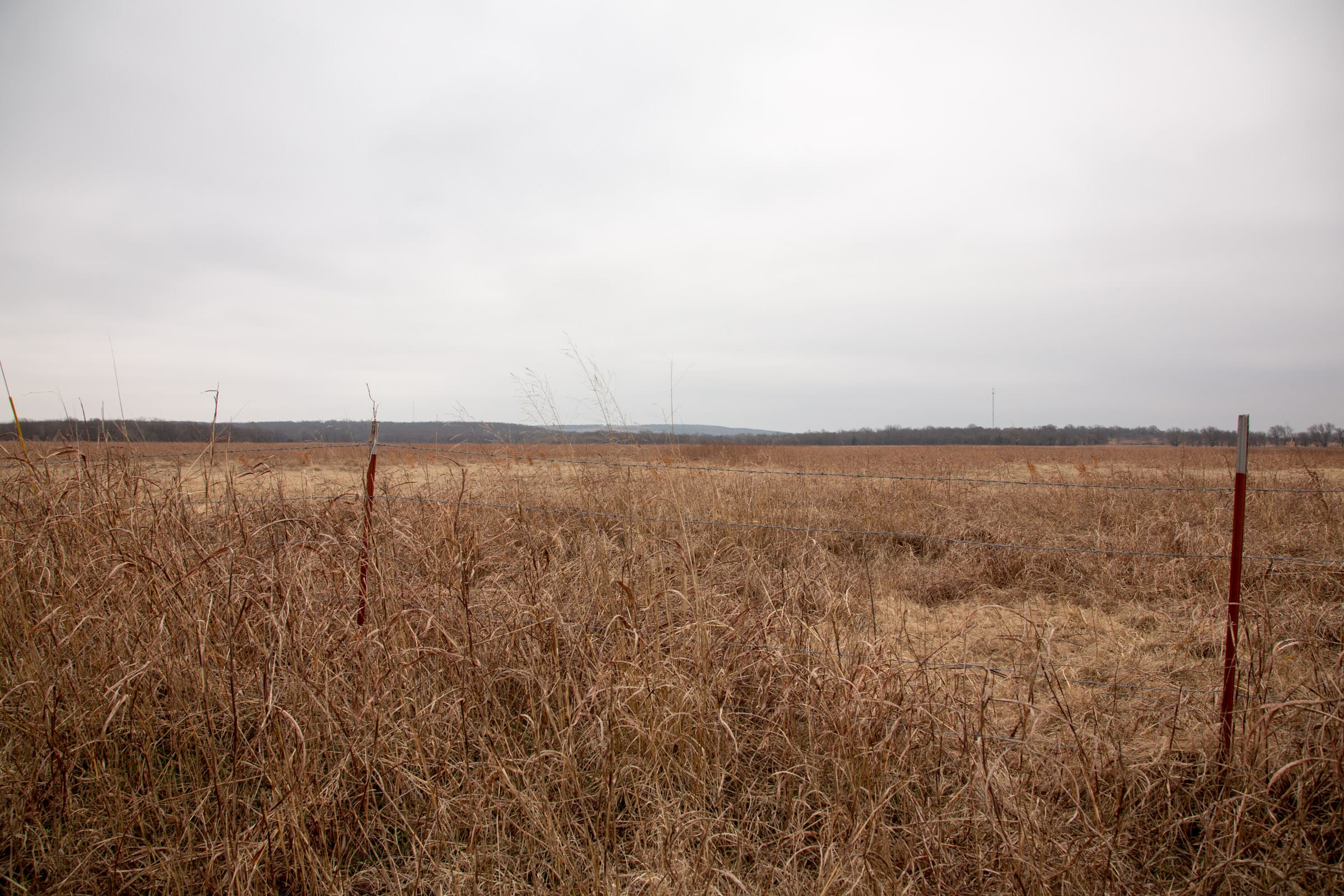 Canadian Plains Tract 35 photo 3