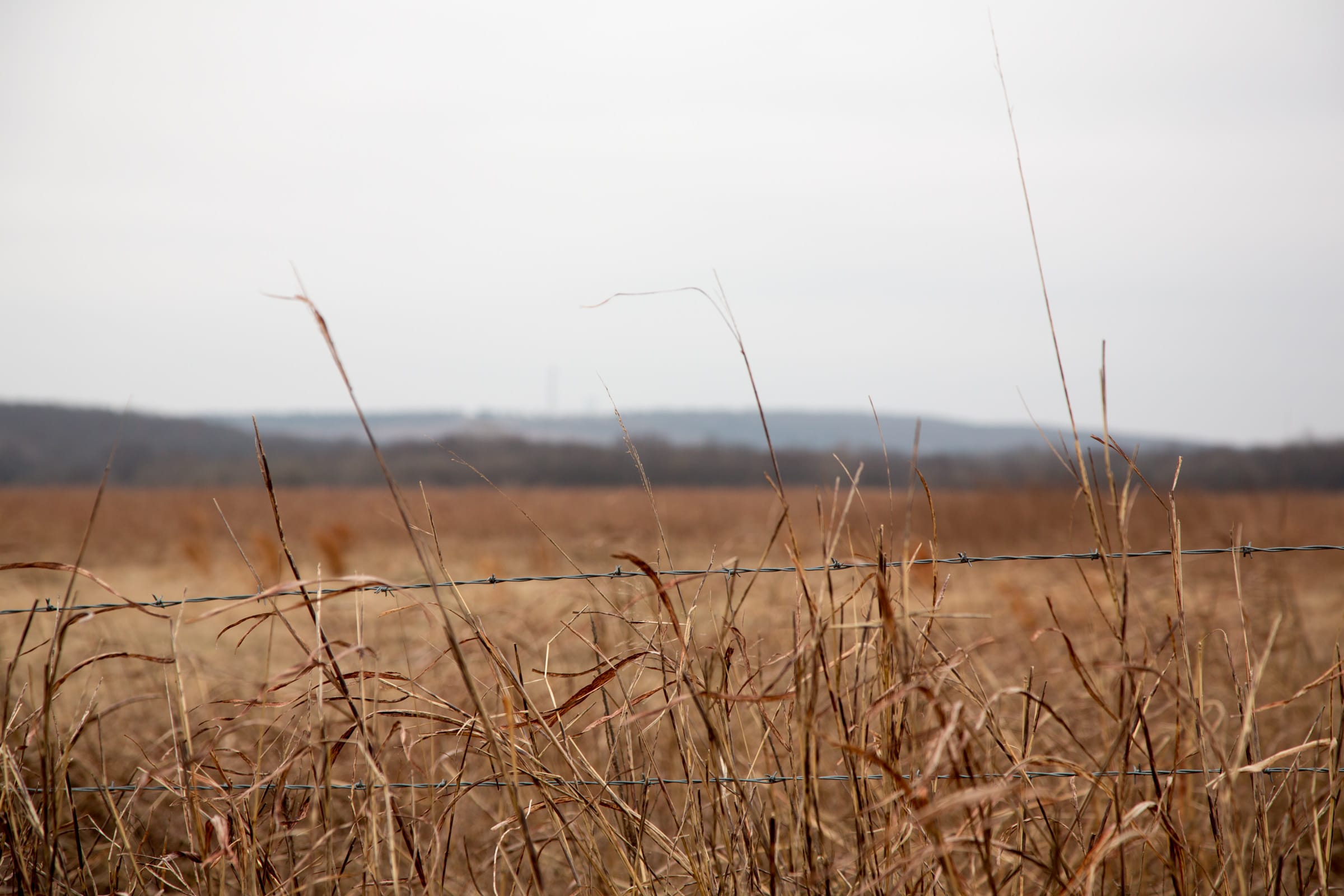 Canadian Plains Tract 35 photo 7