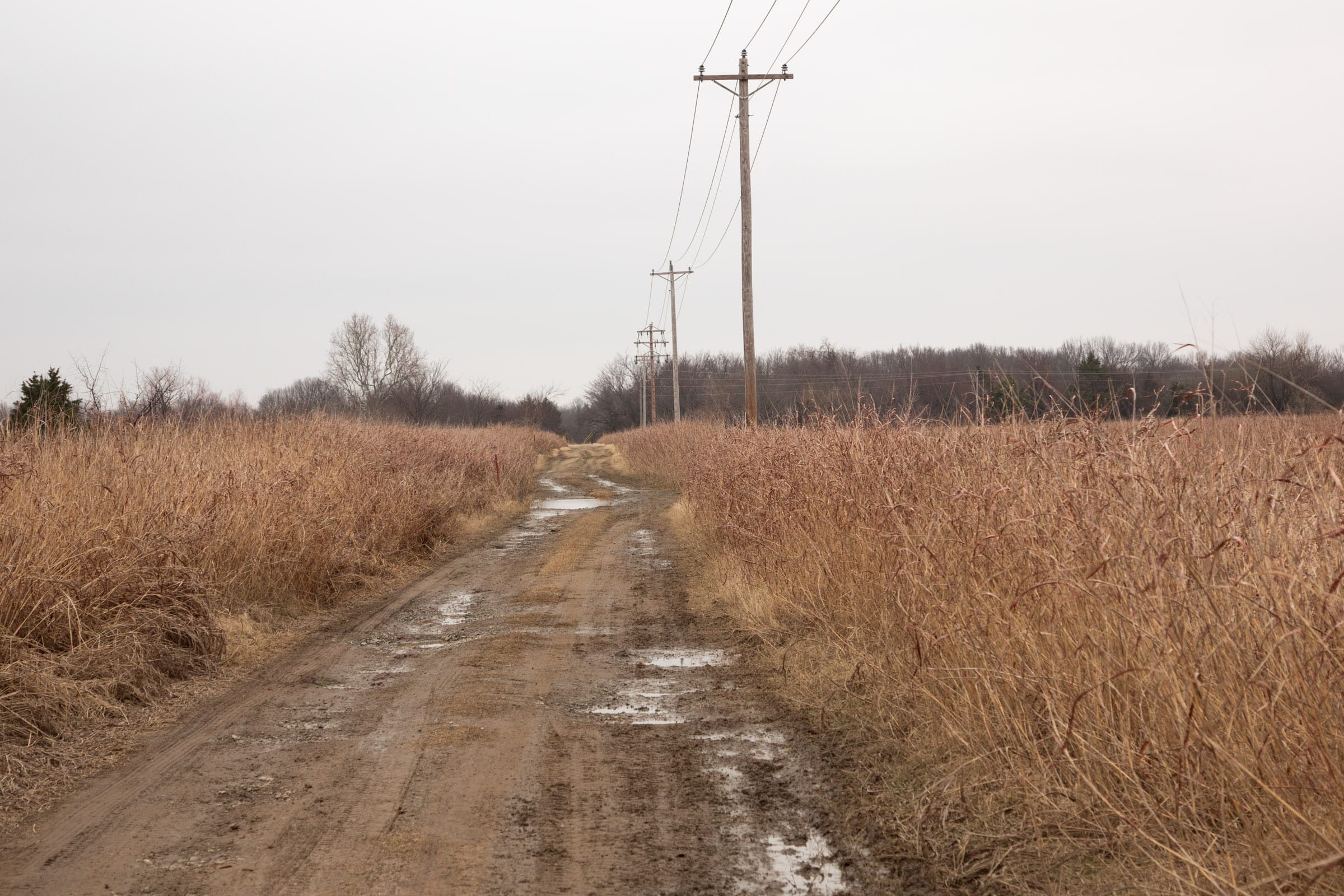 Canadian Plains Tract 35 photo 9