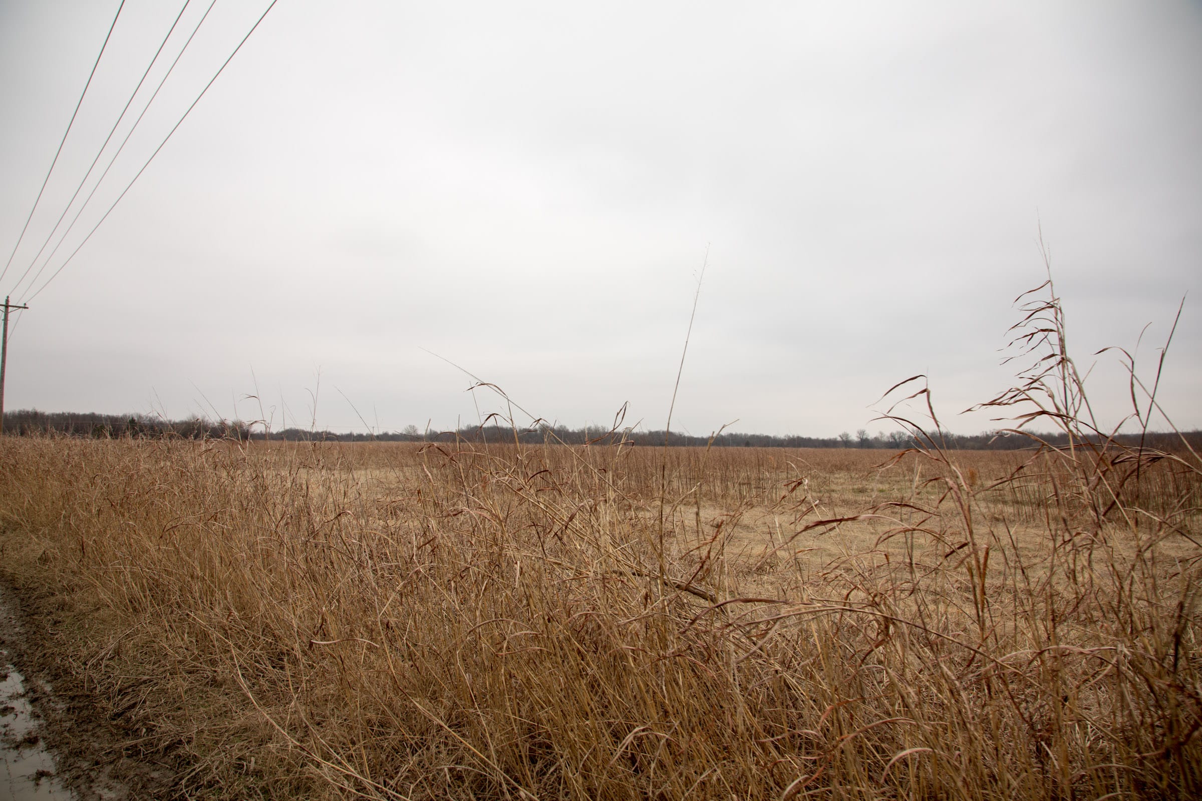 Canadian Plains Tract 35 photo 8