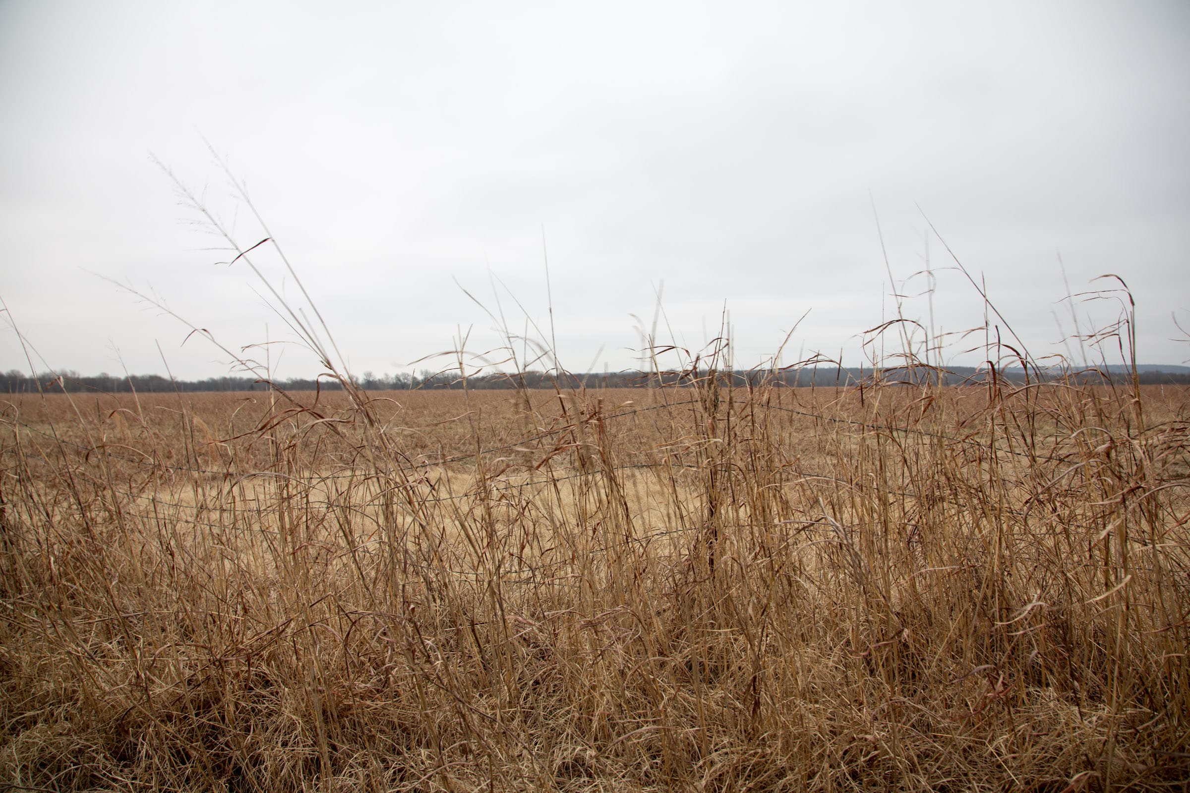 Canadian Plains Tract 35 photo 4
