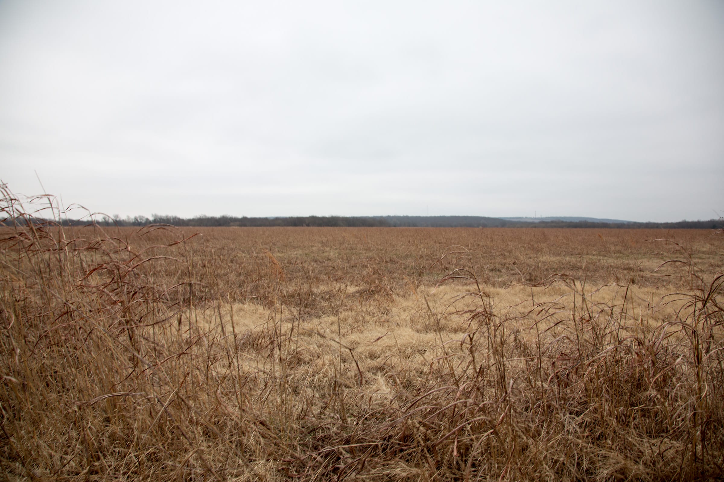 Canadian Plains Tract 35 photo 10