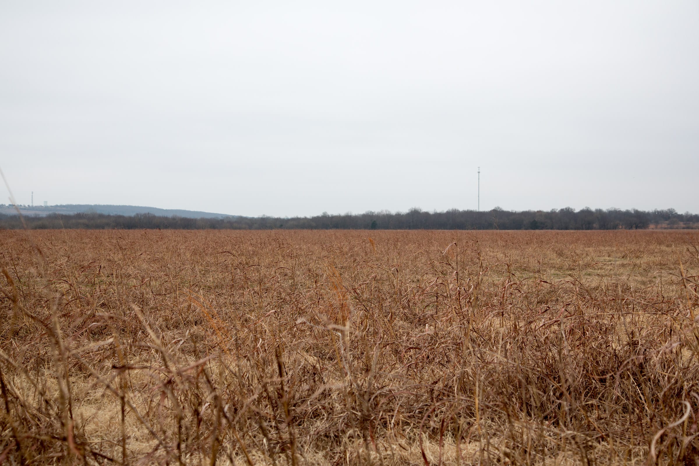 Canadian Plains Tract 35 photo 11