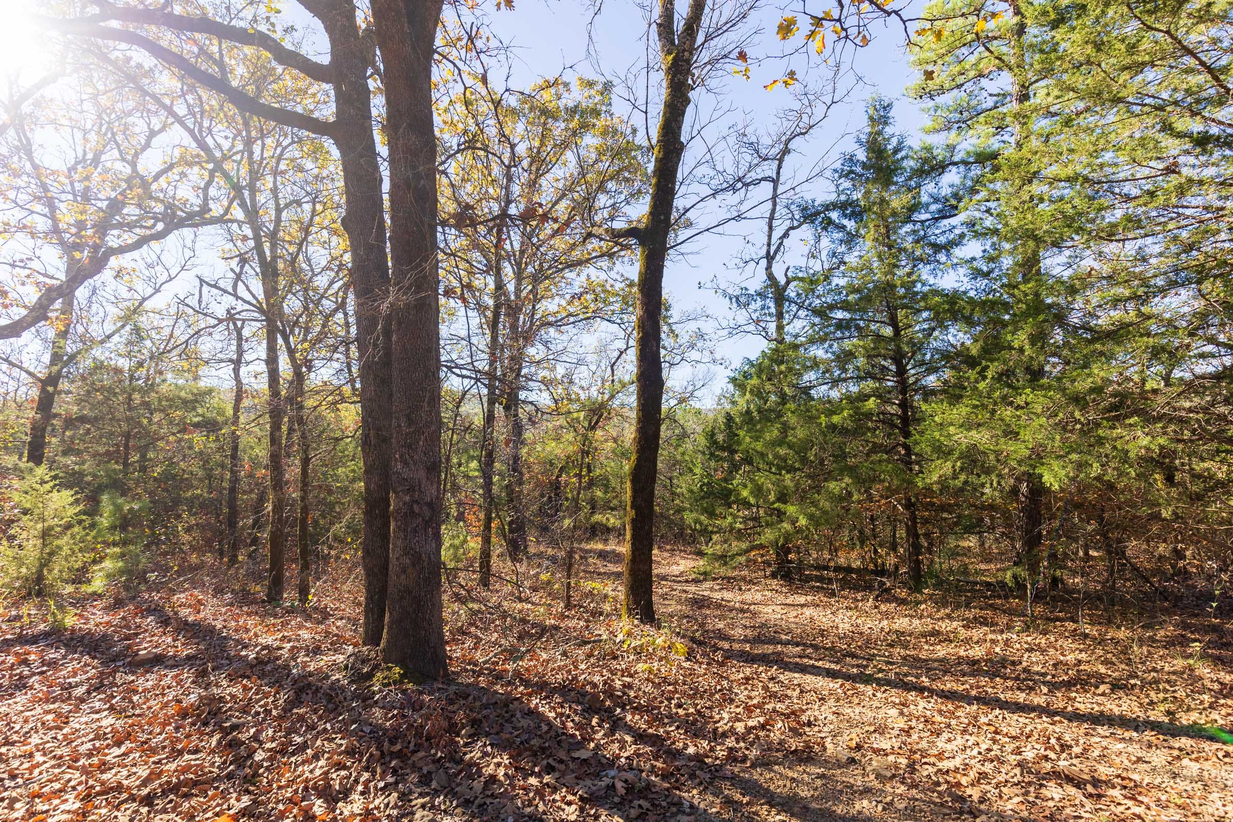 Stone Bridge Reserve Tract 7 photo 18