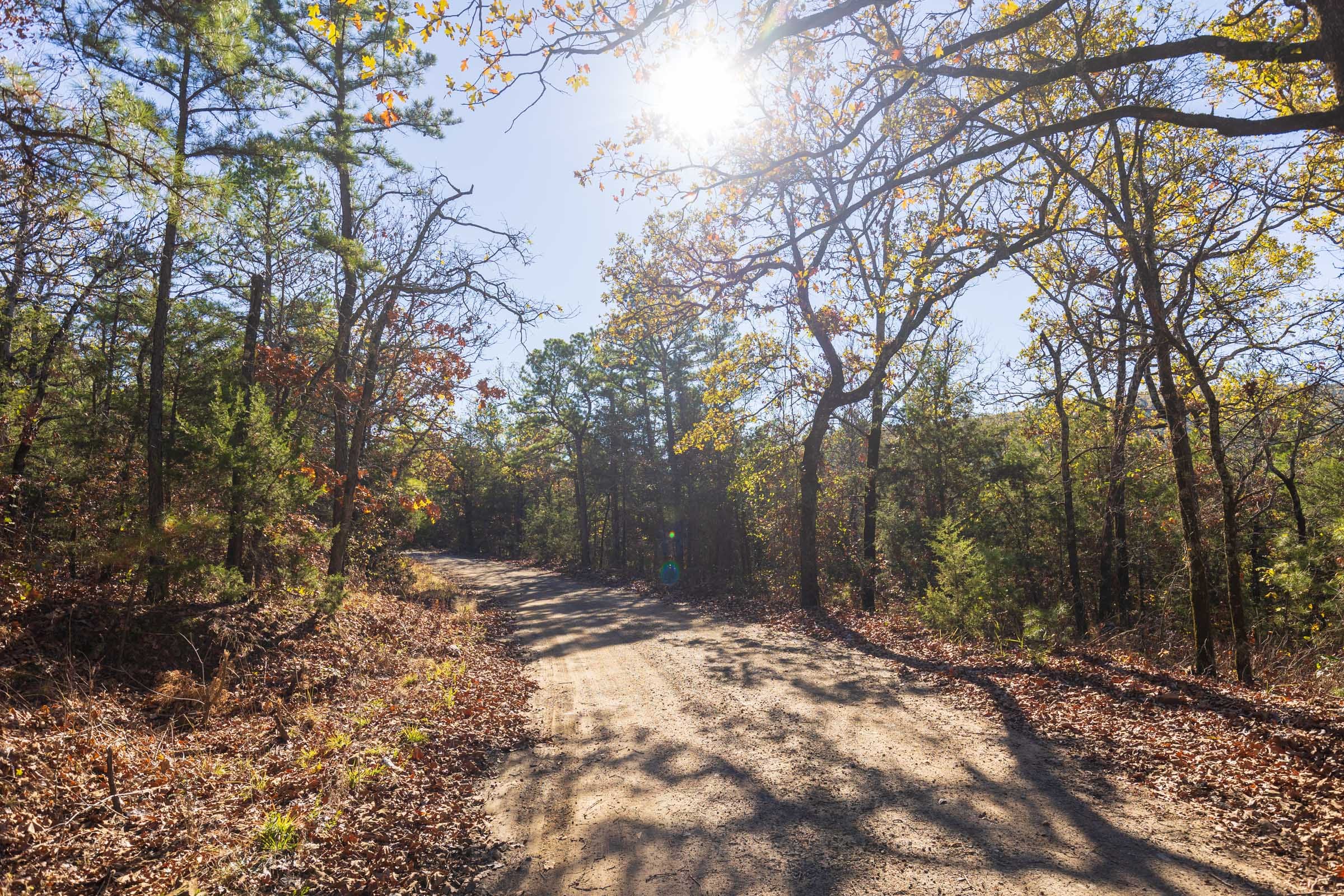 Stone Bridge Reserve Tract 7 photo 17