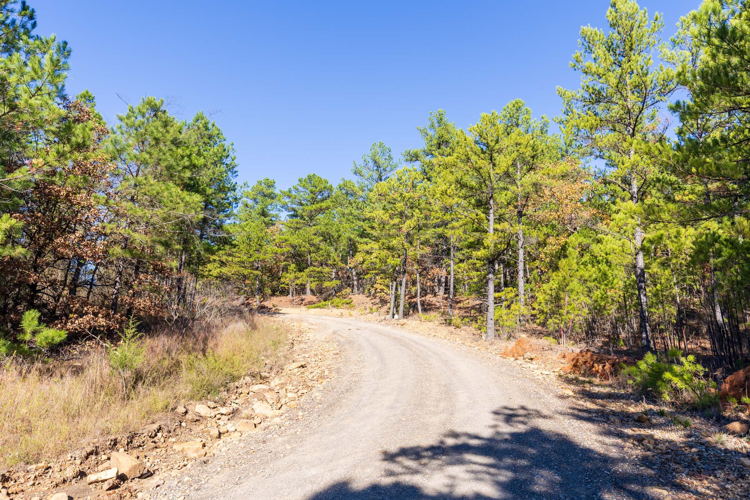 Stone Bridge Reserve Tract 7 photo 16