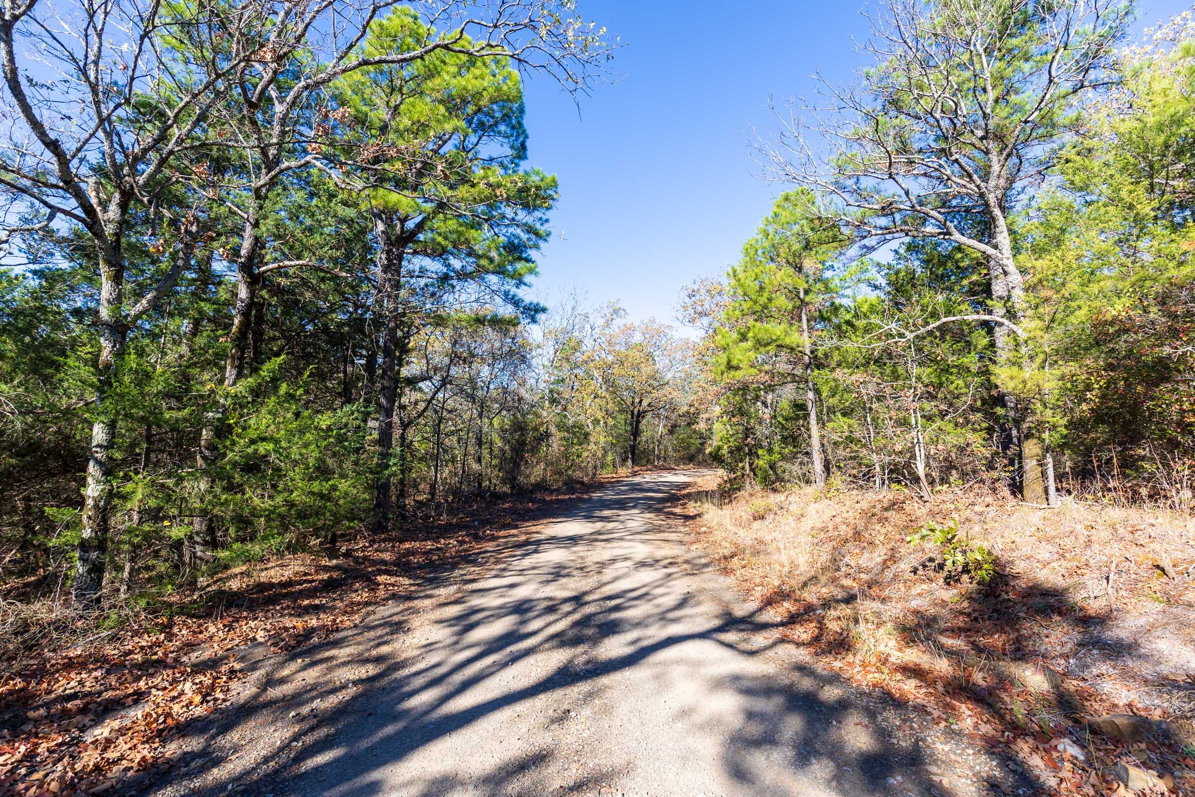 Stone Bridge Reserve Tract 7 photo 10