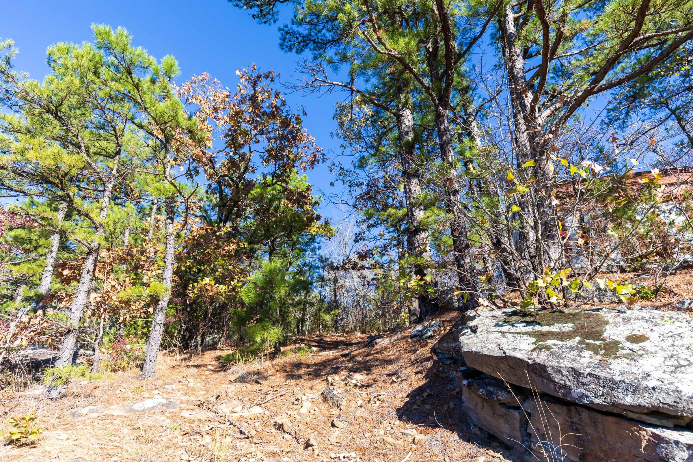 Stone Bridge Reserve Tract 7 photo 12