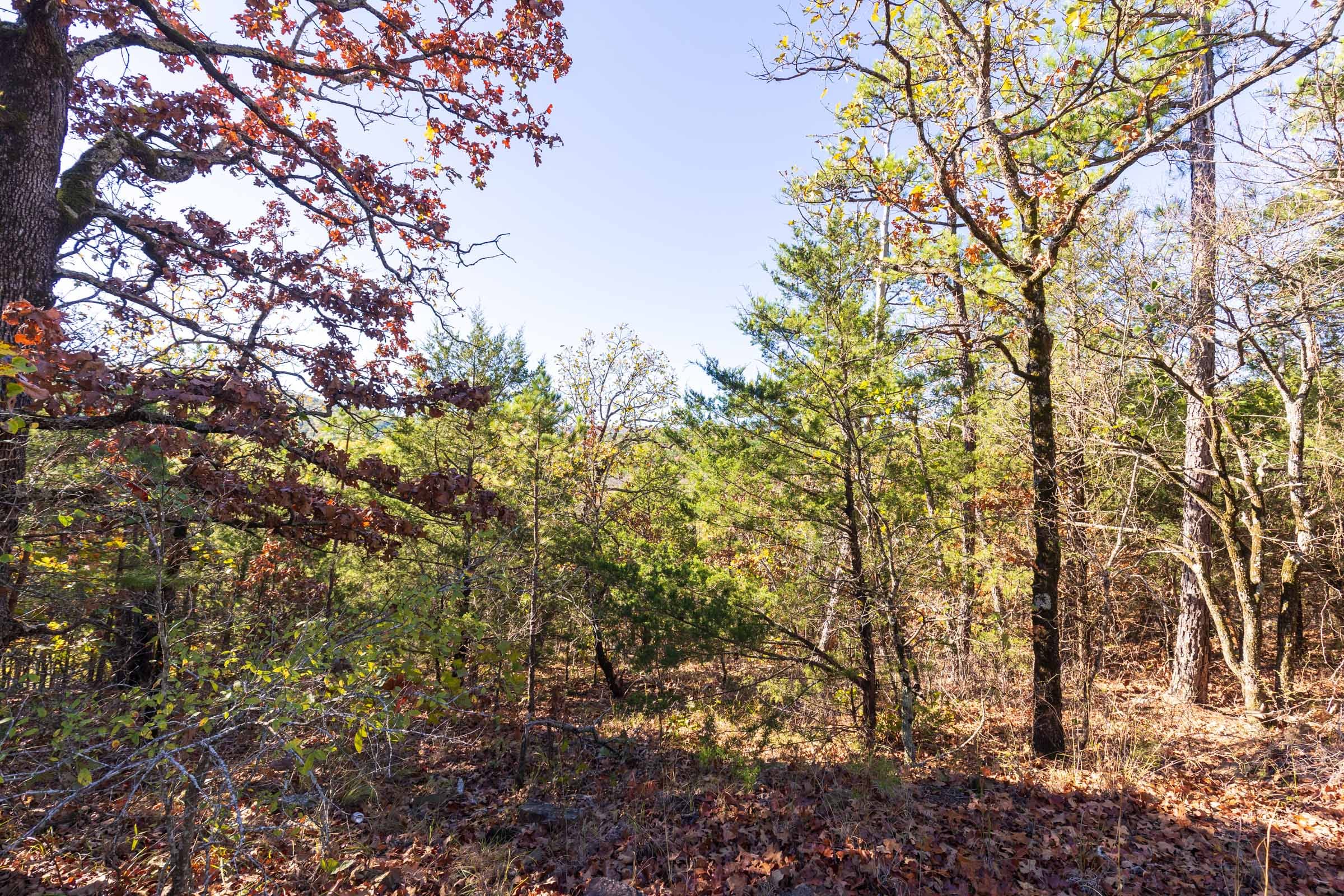 Stone Bridge Reserve Tract 7 photo 13