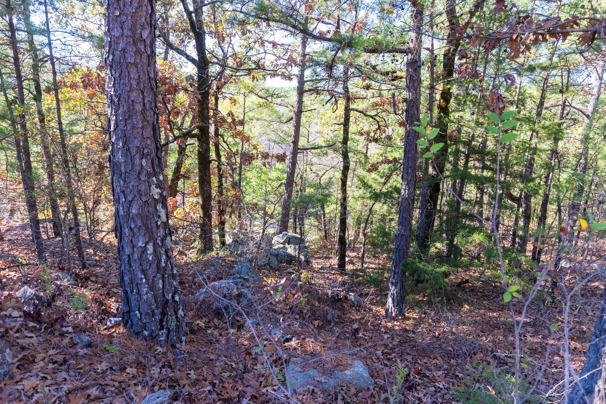 Stone Bridge Reserve Tract 7 photo 14