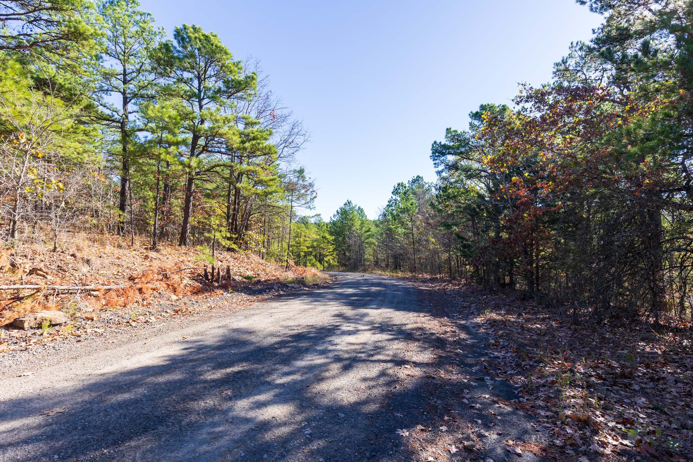 Stone Bridge Reserve Tract 7 photo 1