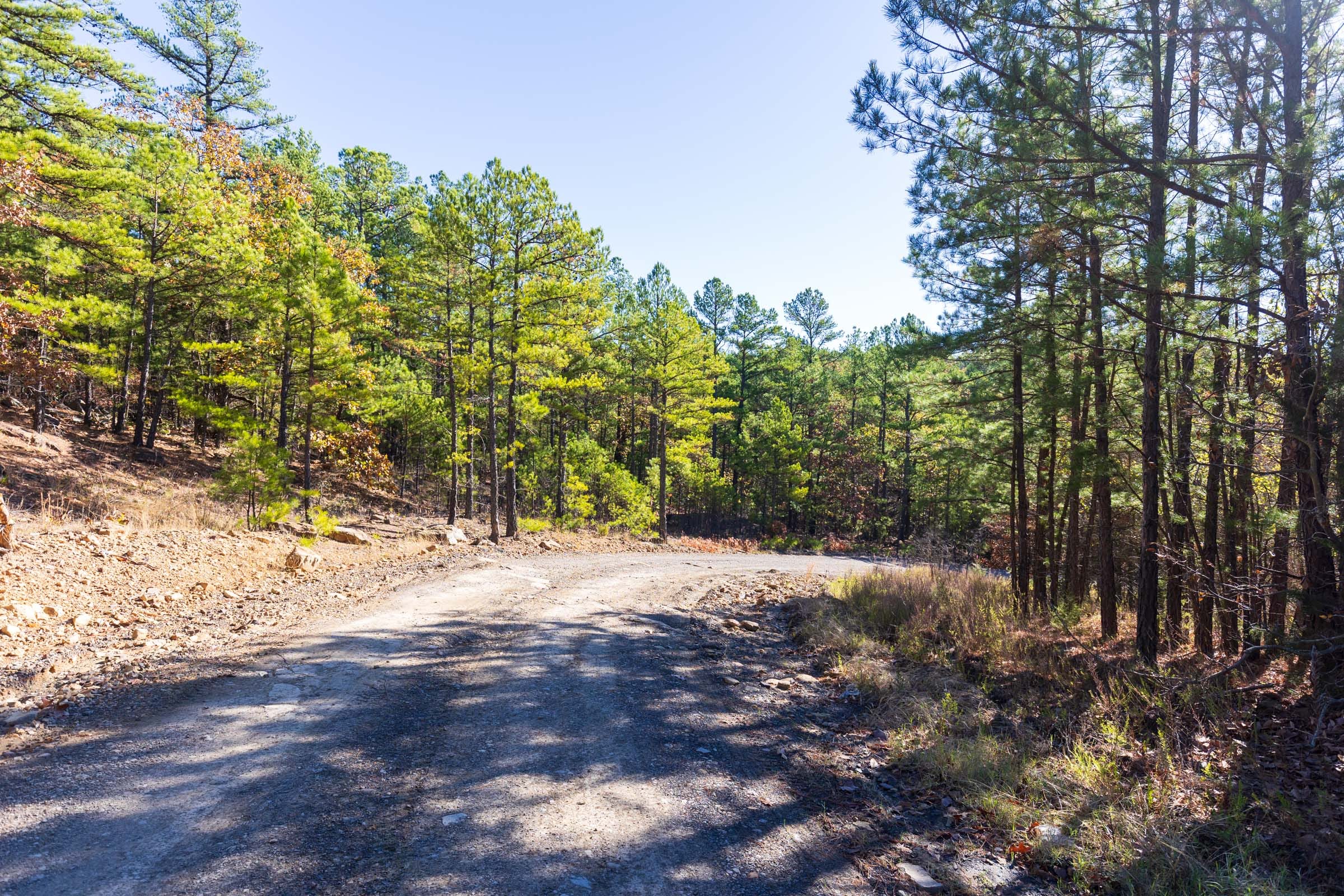 Stone Bridge Reserve Tract 7 photo 15