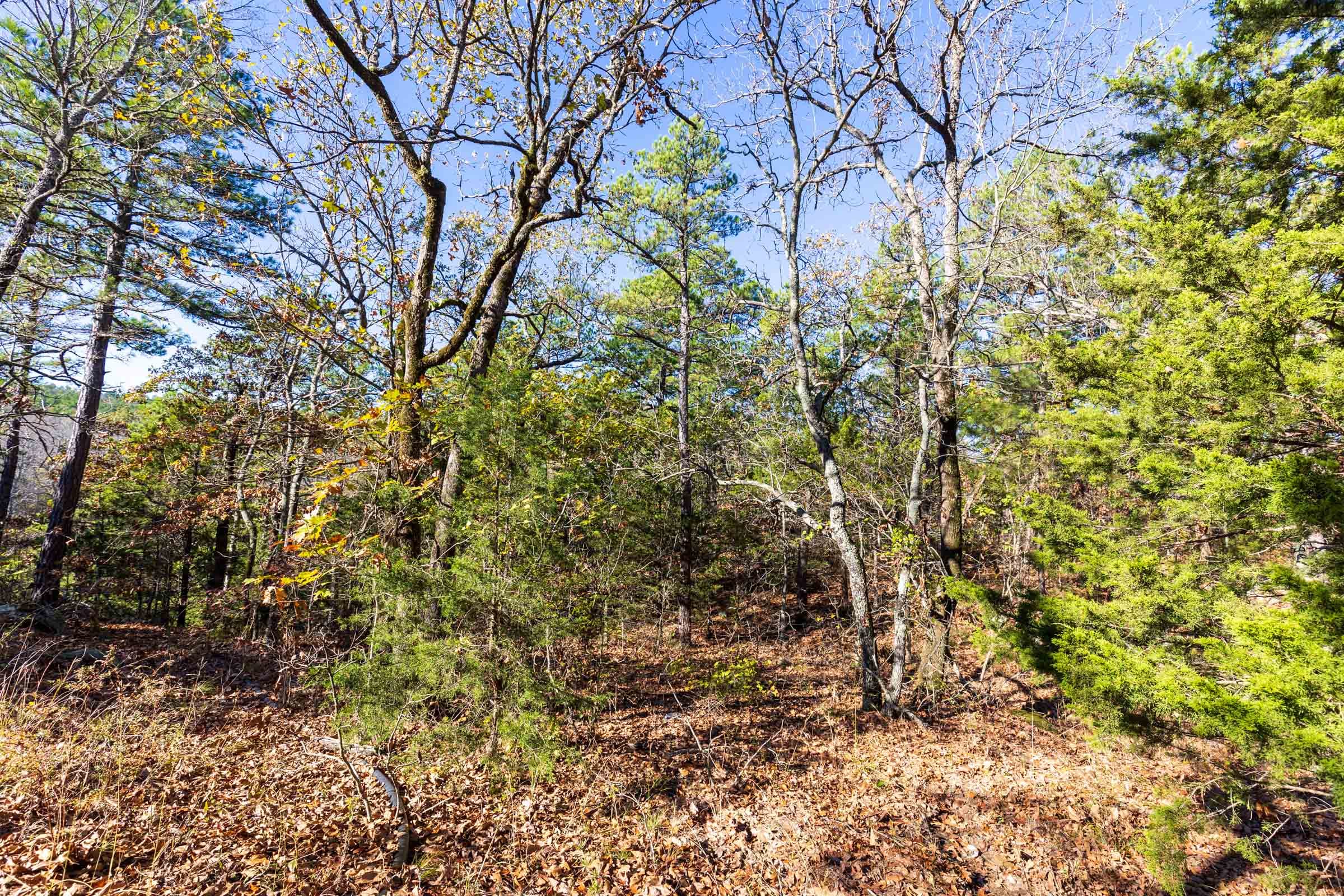 Stone Bridge Reserve Tract 7 photo 11